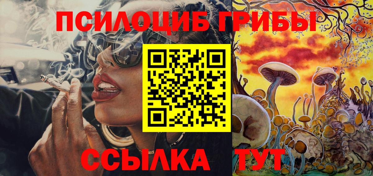 Партизанск  Псилоцибиновые грибы Cubensis  хочу наркоту  Вход с VPN  Псилоцибиновые грибы мухоморы 