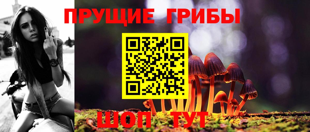 Галлюциногенные грибы ЛСД Партизанск